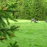 Berg & Gabelbach Ilmenau