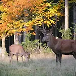 Szálloda Berg & Gabelbach