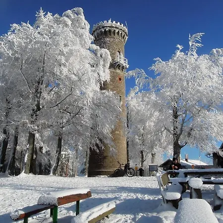 호텔 Berg & Gabelbach 4*