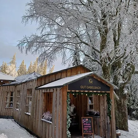 Berg & Gabelbach 호텔