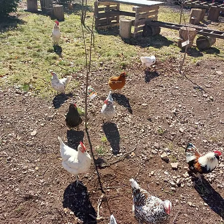 Berg & Gabelbach 4* 일메나우