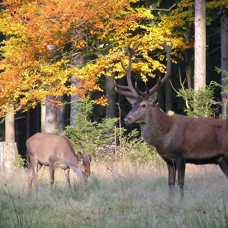 호텔 Berg & Gabelbach