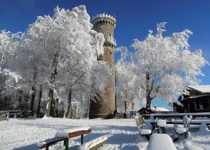 Otel Berg & Gabelbach 4*