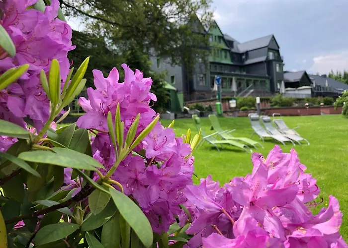 Berg & Gabelbach Ilmenau