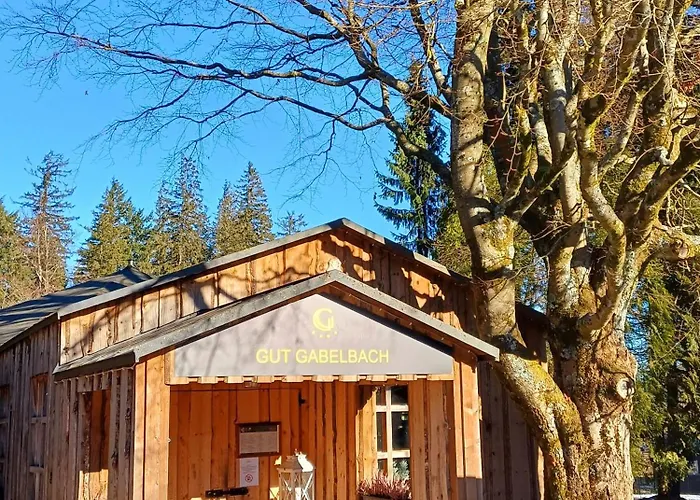 Berg & Gabelbach Ilmenau