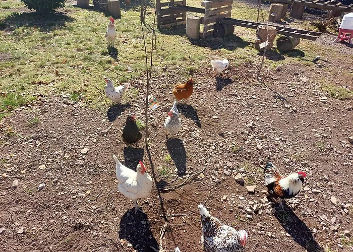 Berg & Gabelbach 4* Ilmenau