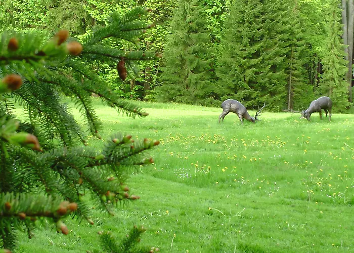 Berg & Gabelbach Ilmenau