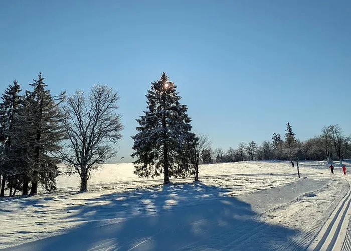 Berg & Gabelbach 4* イルメナウ